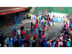 CARNAVALES 2025